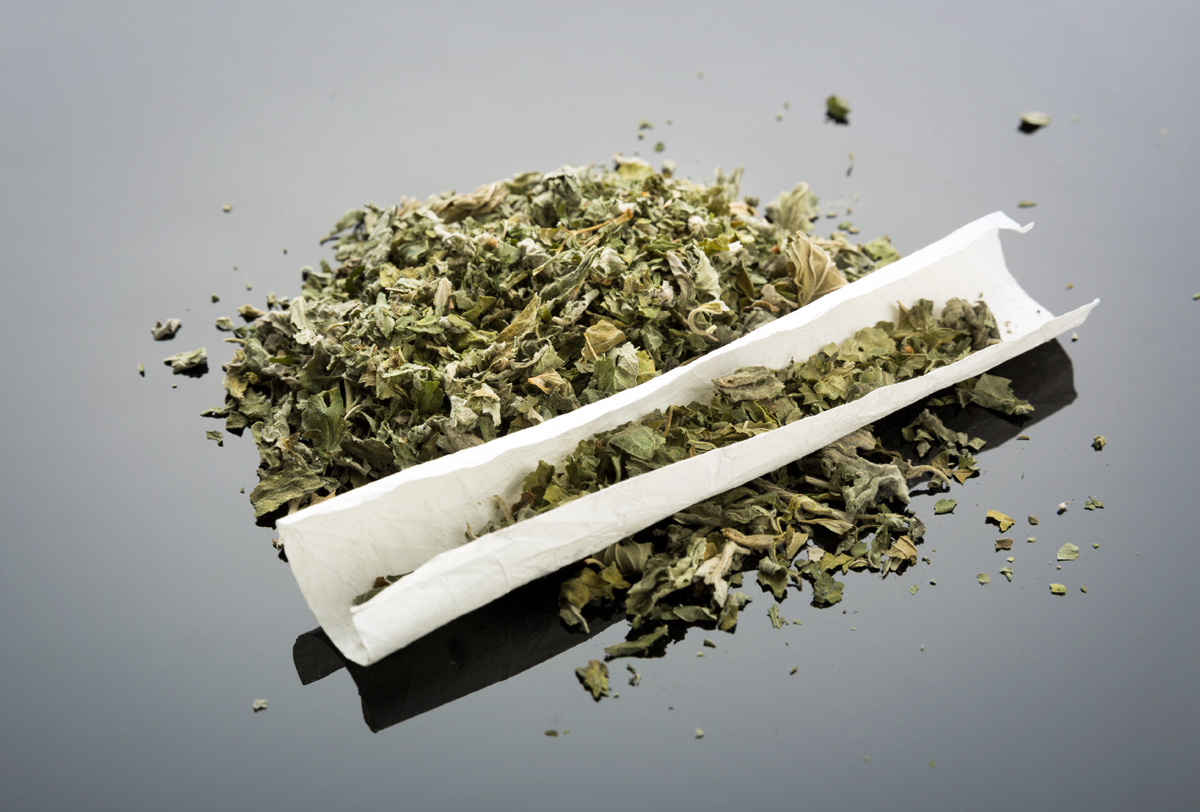 ¿por Qué Debatir Consumo De Marihuana Y No De Otras Drogas Alto Nivel