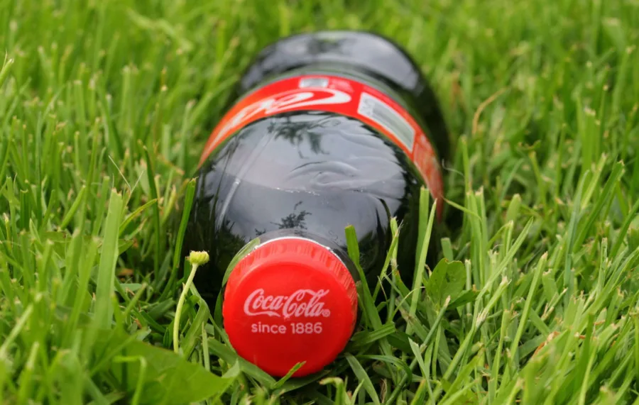 Coca Cola quiere ser más saludable: concreta compra de AdeS