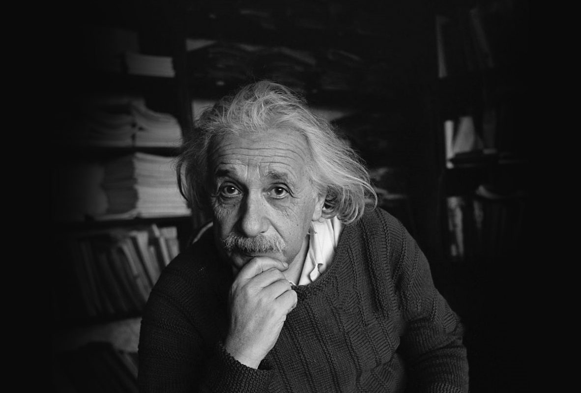 Everybody is Genius Albert Einstein