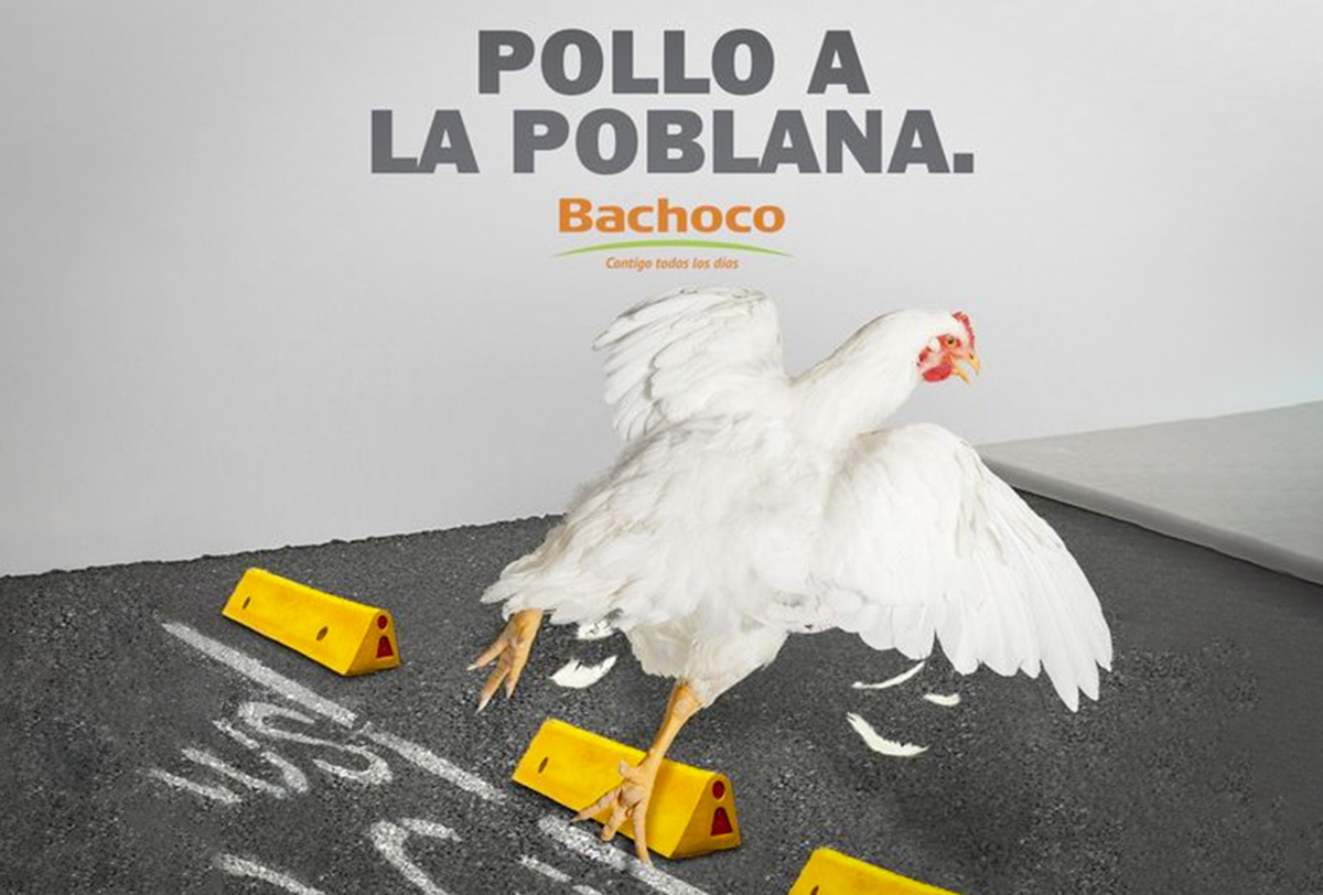 Pollo a la poblana”, la campaña con la que Bachoco aprovecha el video viral  de ciclovía en Puebla - Alto Nivel