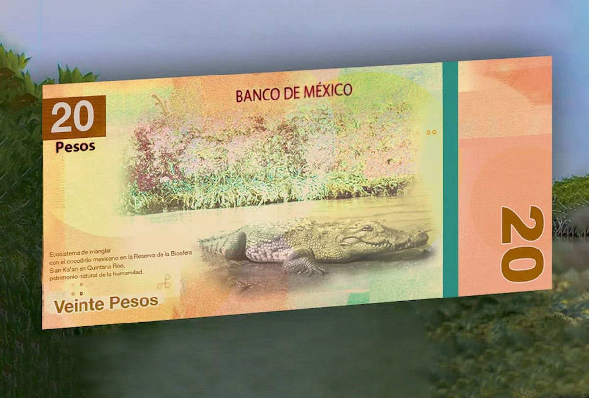 Adiós Juárez y Morelos: Banxico anuncia nuevo diseño en billetes de 20 y 50  pesos - Alto Nivel