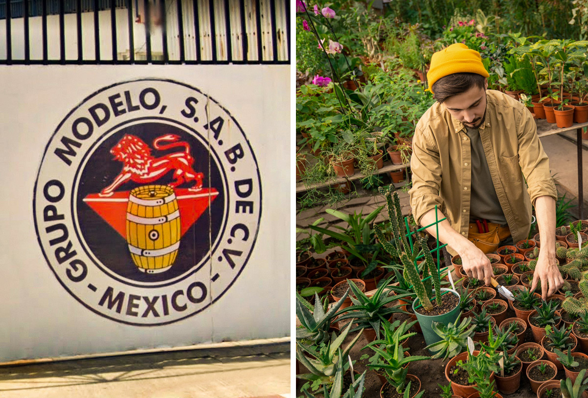 Atención, emprendedores: Grupo Modelo quiere incentivar tu proyecto hasta  con 100 mil dólares - Alto Nivel