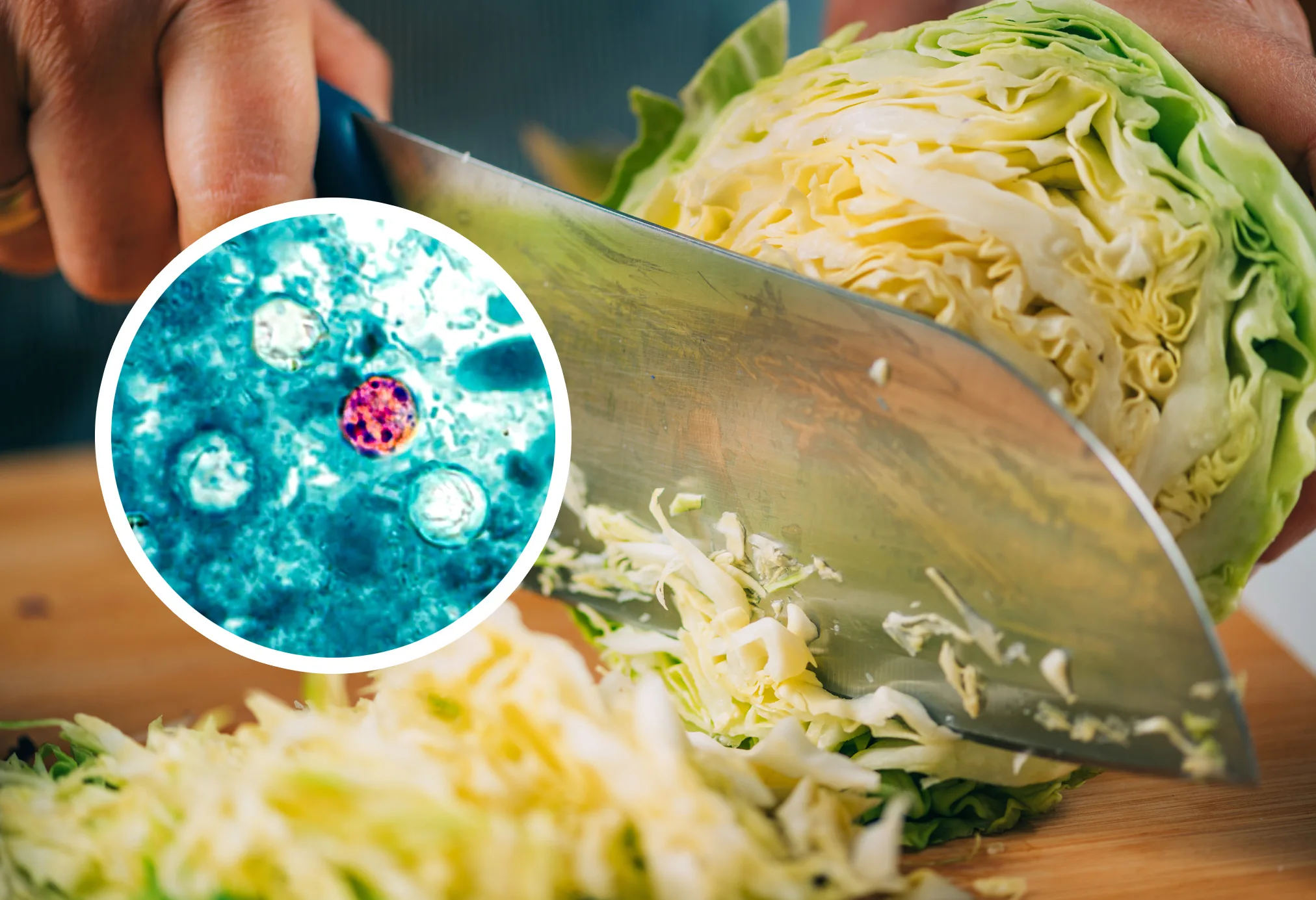 México rechaza contaminación en lechugas de Taylor Farms tras brote de diarrea explosiva en Taco Bell